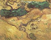 Vincent Van Gogh Field with Two Rabbits (nn04) USA oil painting reproduction